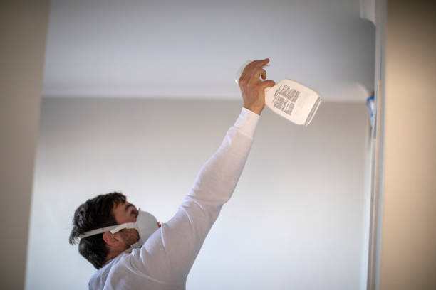 Best Residential Mold Removal  in Mahtomedi, MN