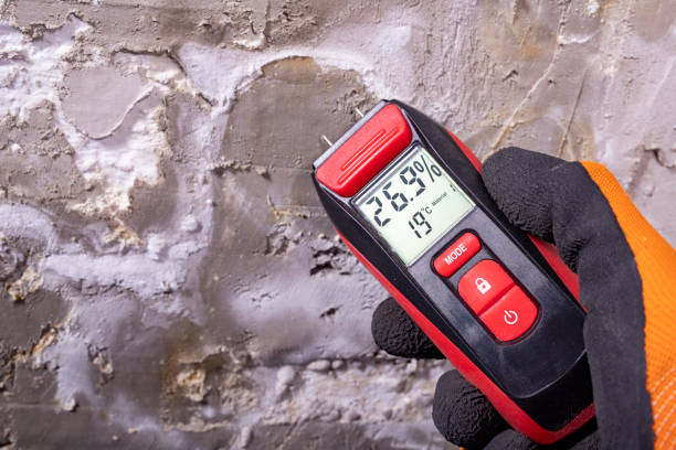 Best Certified Mold Removal  in Mahtomedi, MN